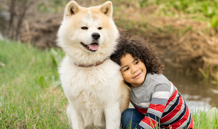 L’assicurazione per animali domestici è un buon investimento? L’assicurazione per animali domestici è un buon investimento?